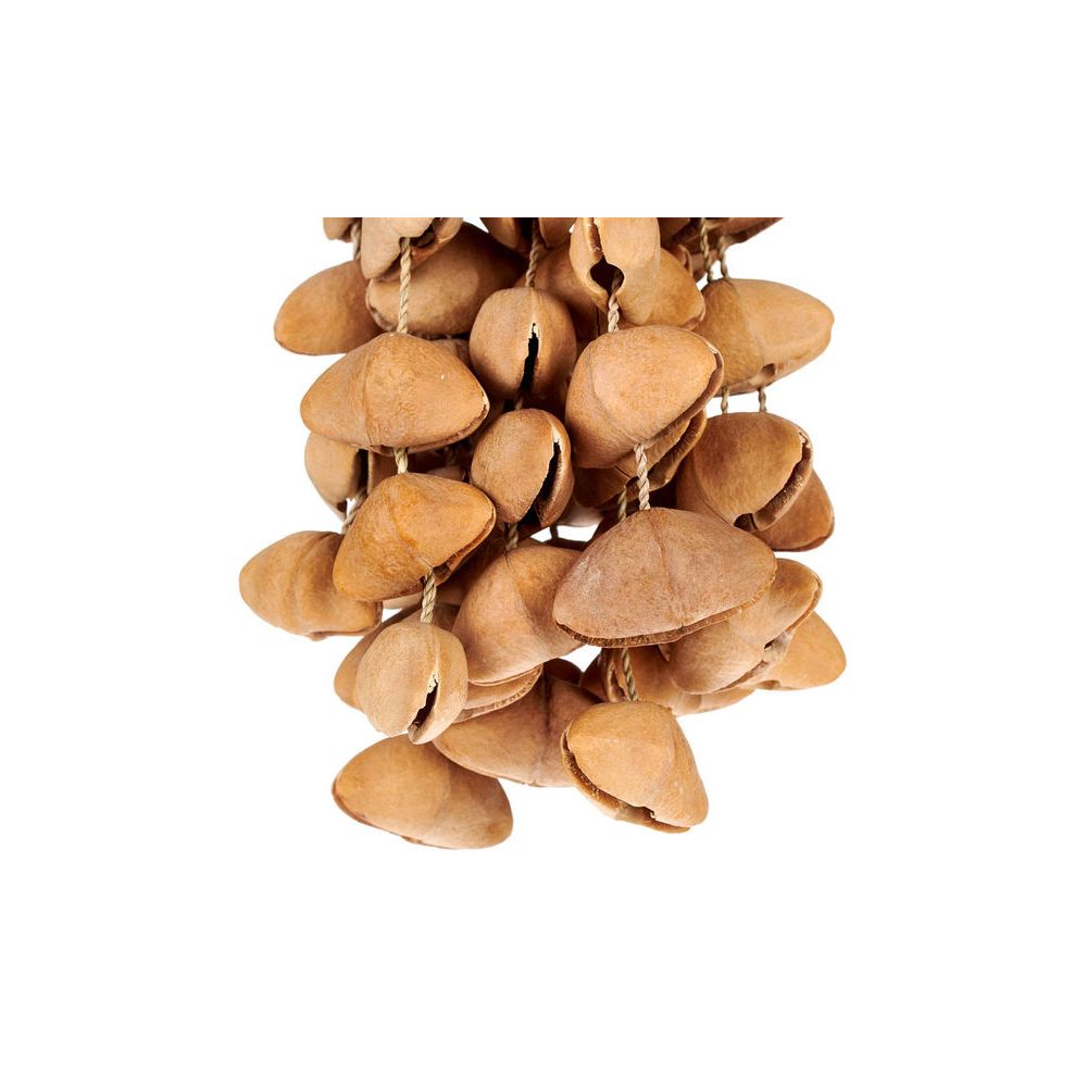Terre Seed Shaker XXL Cha Cha Nut – Thomann Ireland