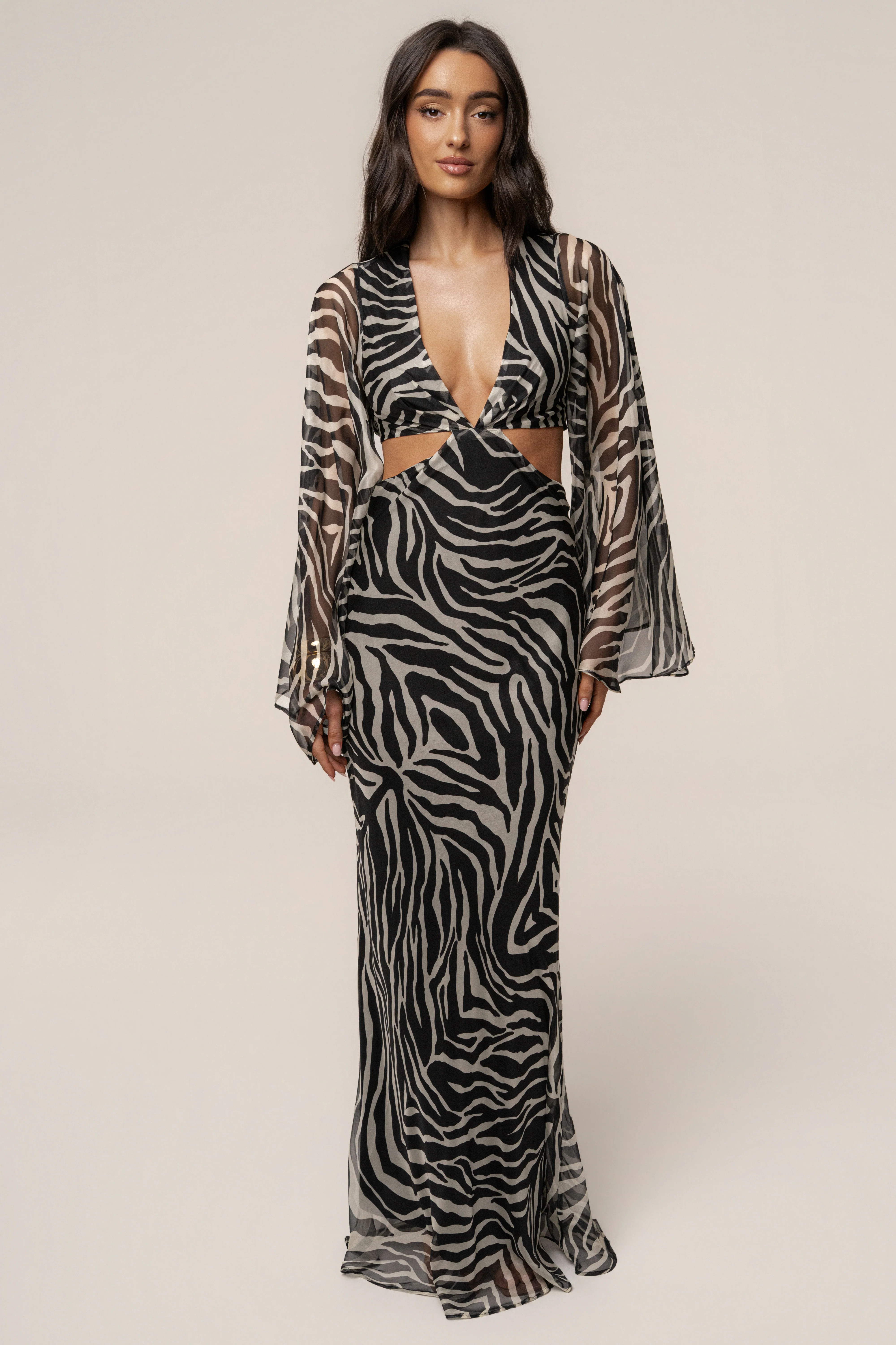 Black Zebra Instincts Print Maxi Dress