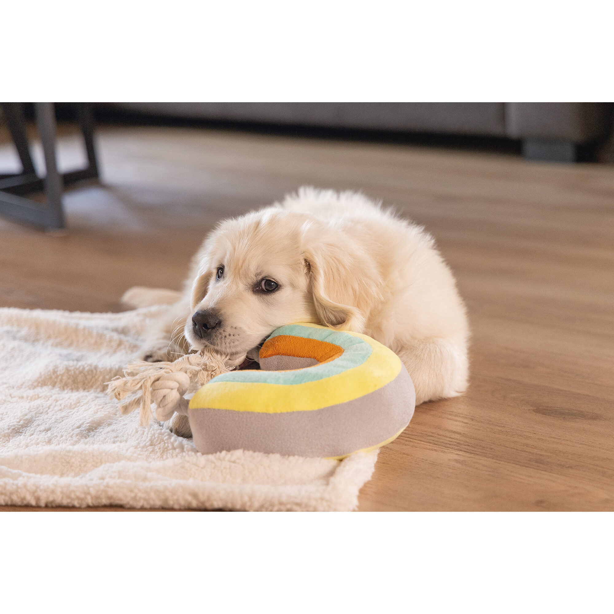 Beeztees Puppy Cuddle Rainbow Joie