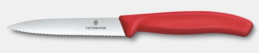 Swiss Classic Paring Knife, 10 cm
