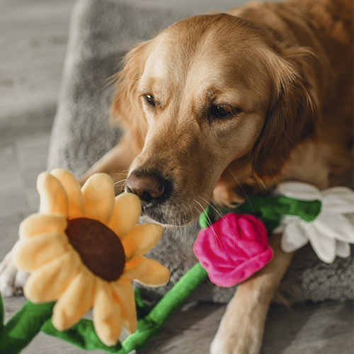 Beeztees Plush Flower - Tullip Tulipa