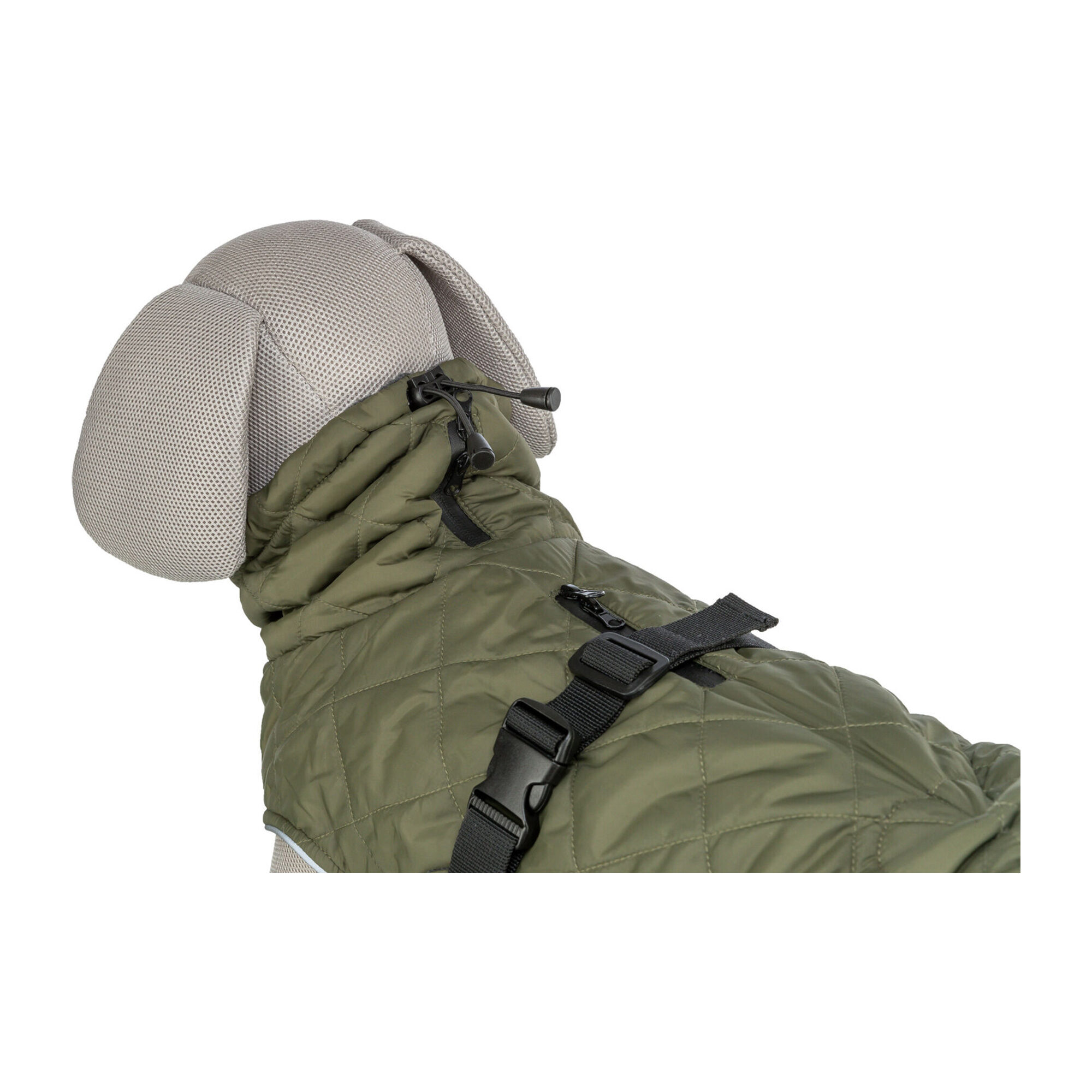 Trixie Dog Coat Minot - Olive green - XS - 30 cm