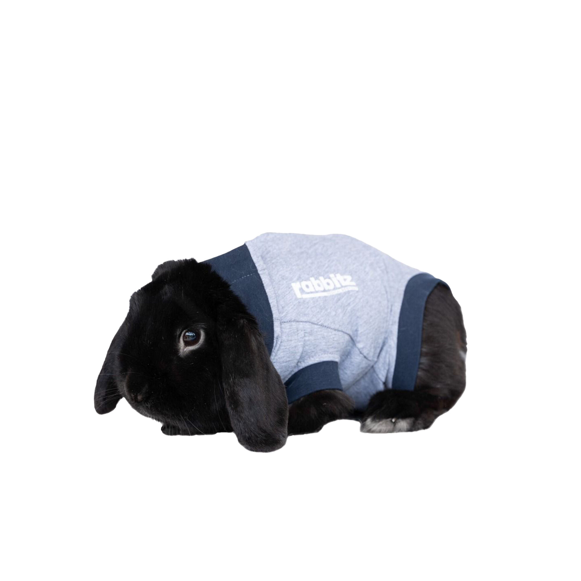 Jacketz Medical Body Suit for Rabbits - 3XS