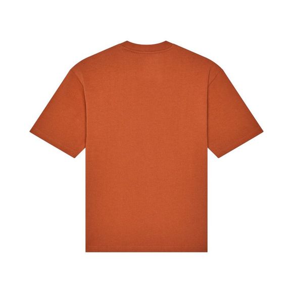 T -shirt short sleeves Fox Wordmark OV - BrownRef: FX5422