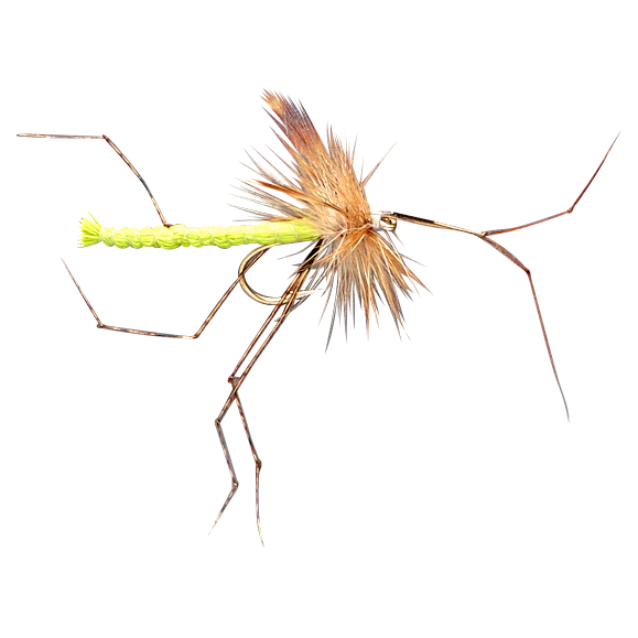 Dragon Fly Assortment Dry Daddies