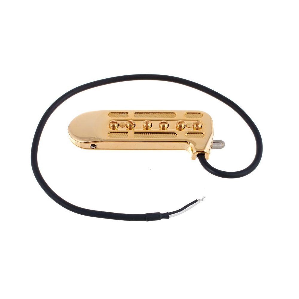 DeArmond Rhythm Chief 1100 – Thomann Ireland