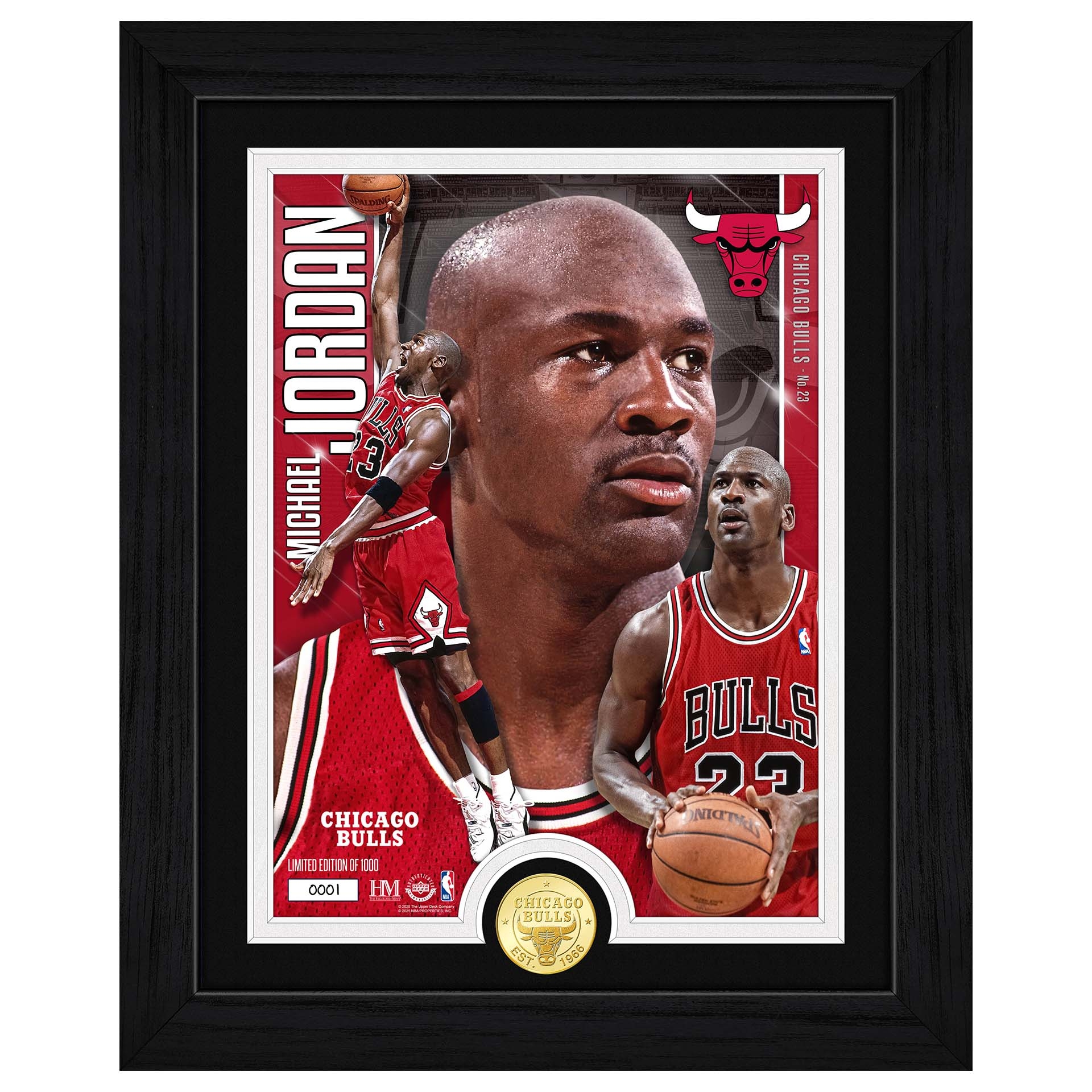 Michael Jordan Chicago Bulls Artist Proof Bronze Coin NBA Photo Frame