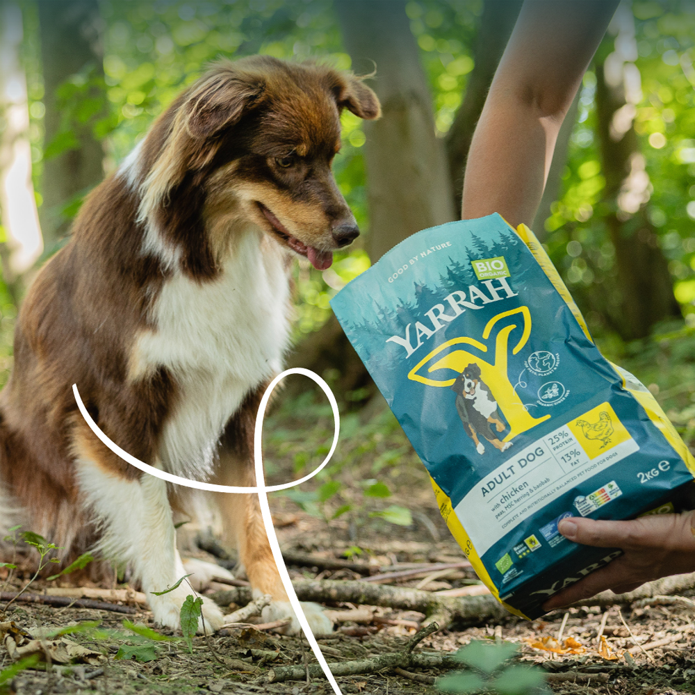 Yarrah Dry Dog Food with Chicken Bio - 15kg