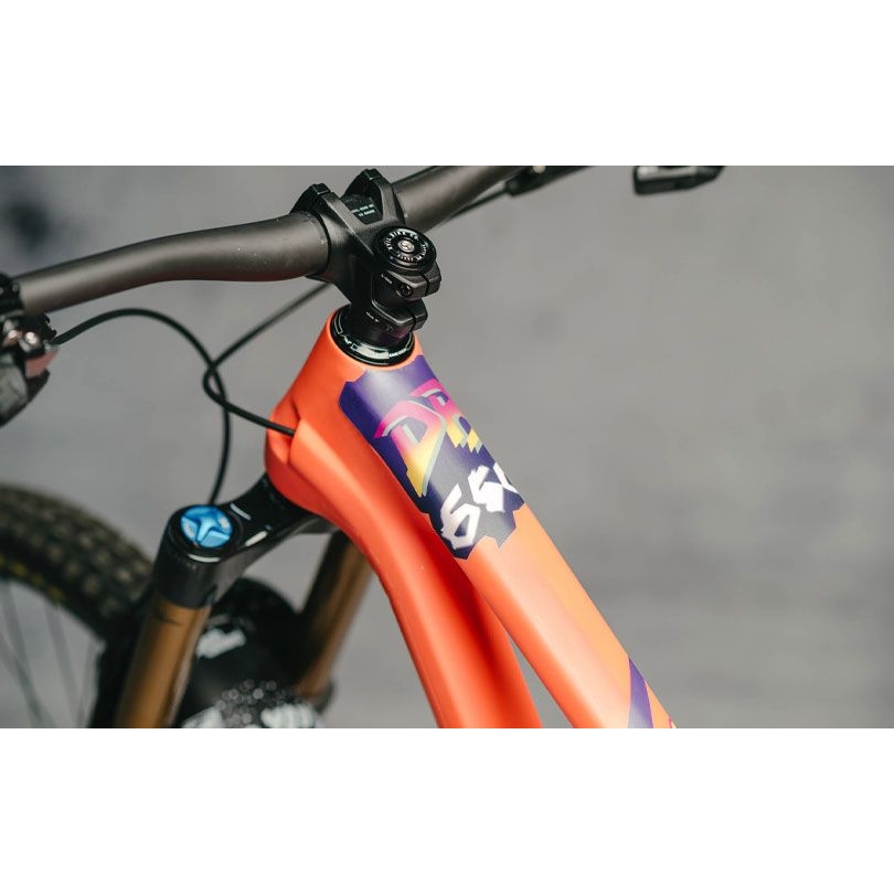 DYEDBRO Frame Protection Kit - DB650 - purple matte