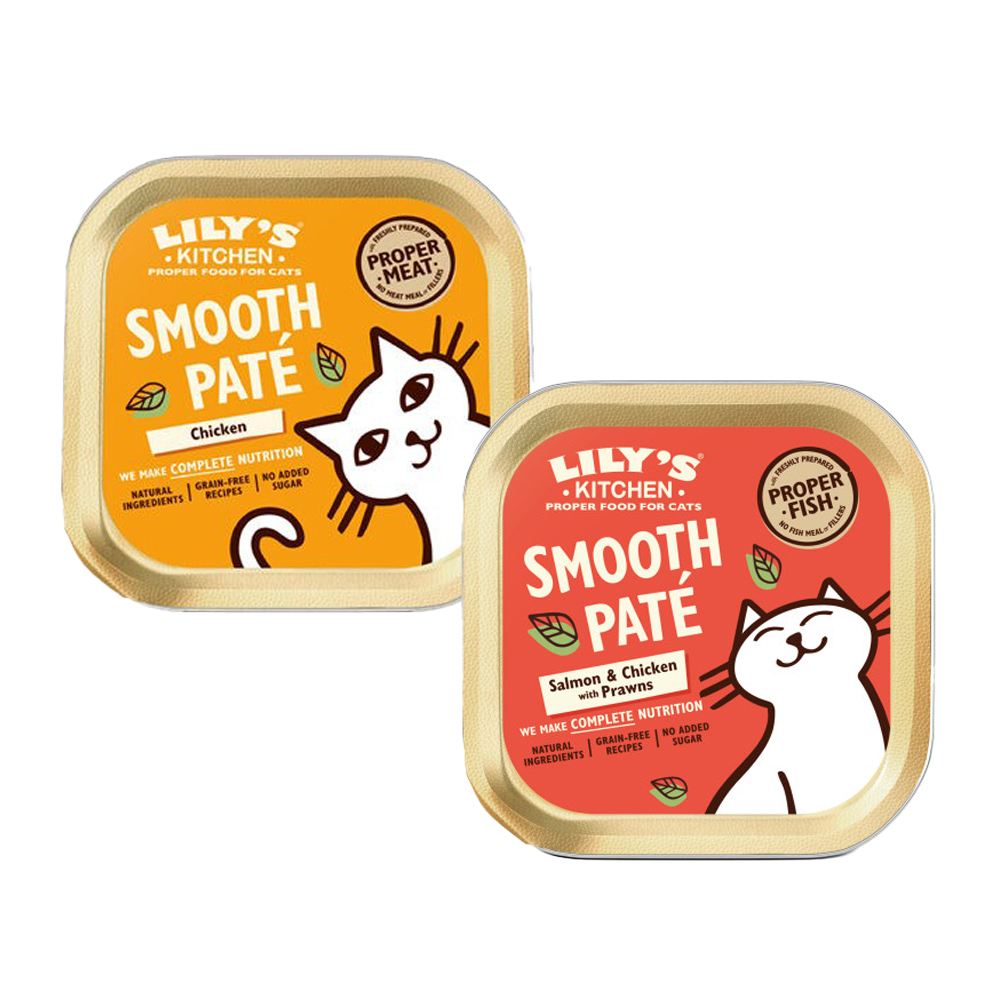 Lily's Kitchen Smooth Paté Cat Food - Tub - Salmon & Chicken - 19 x 85g