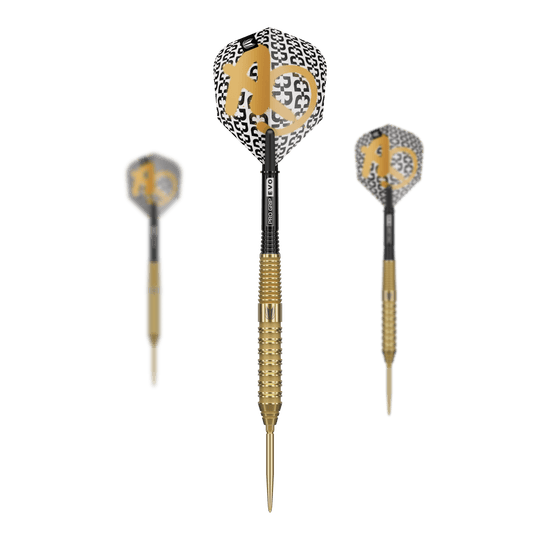 Target Bolide Envy 02 Swiss Point steel darts