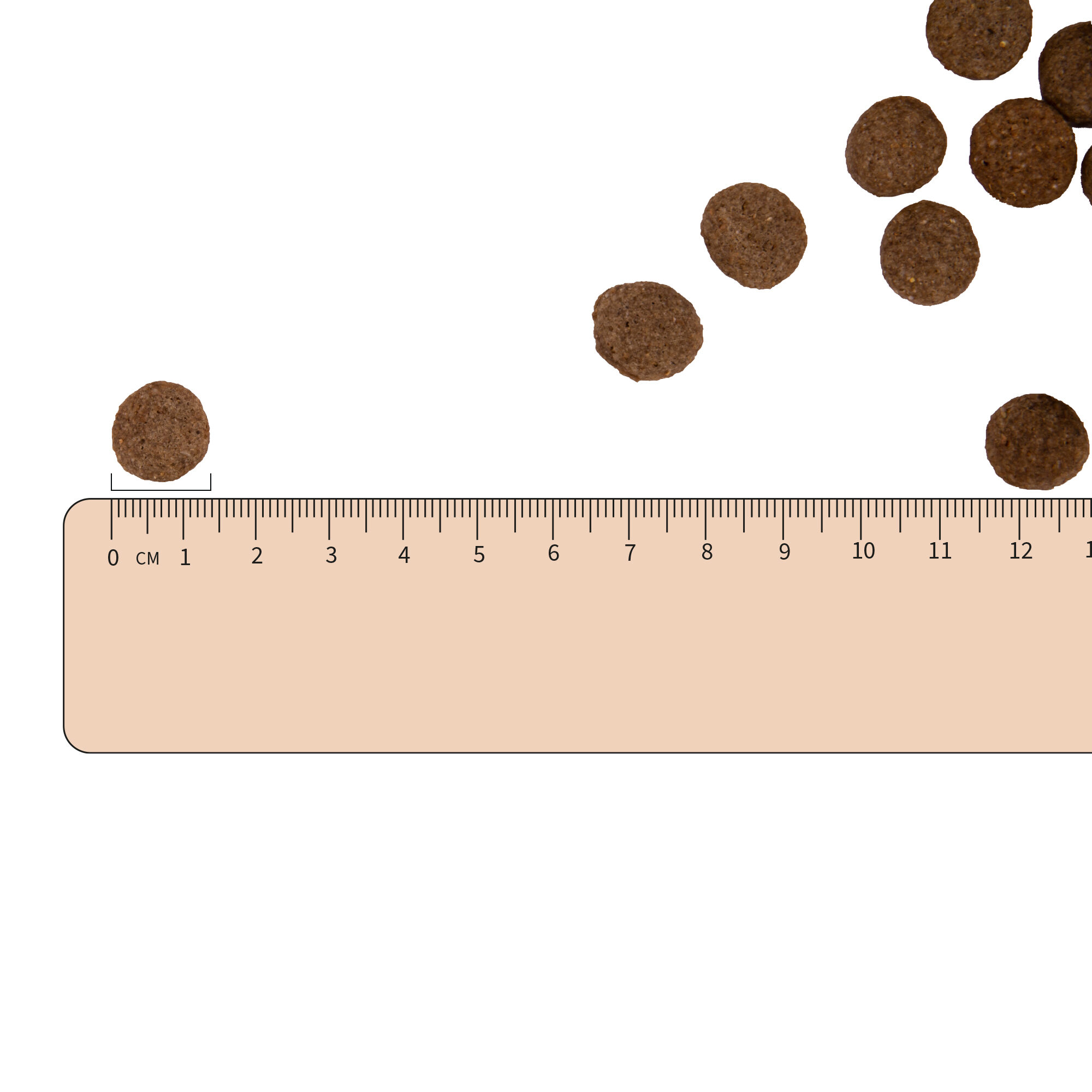 Vetality Gastrointestinal Low Fat Dog - 3kg