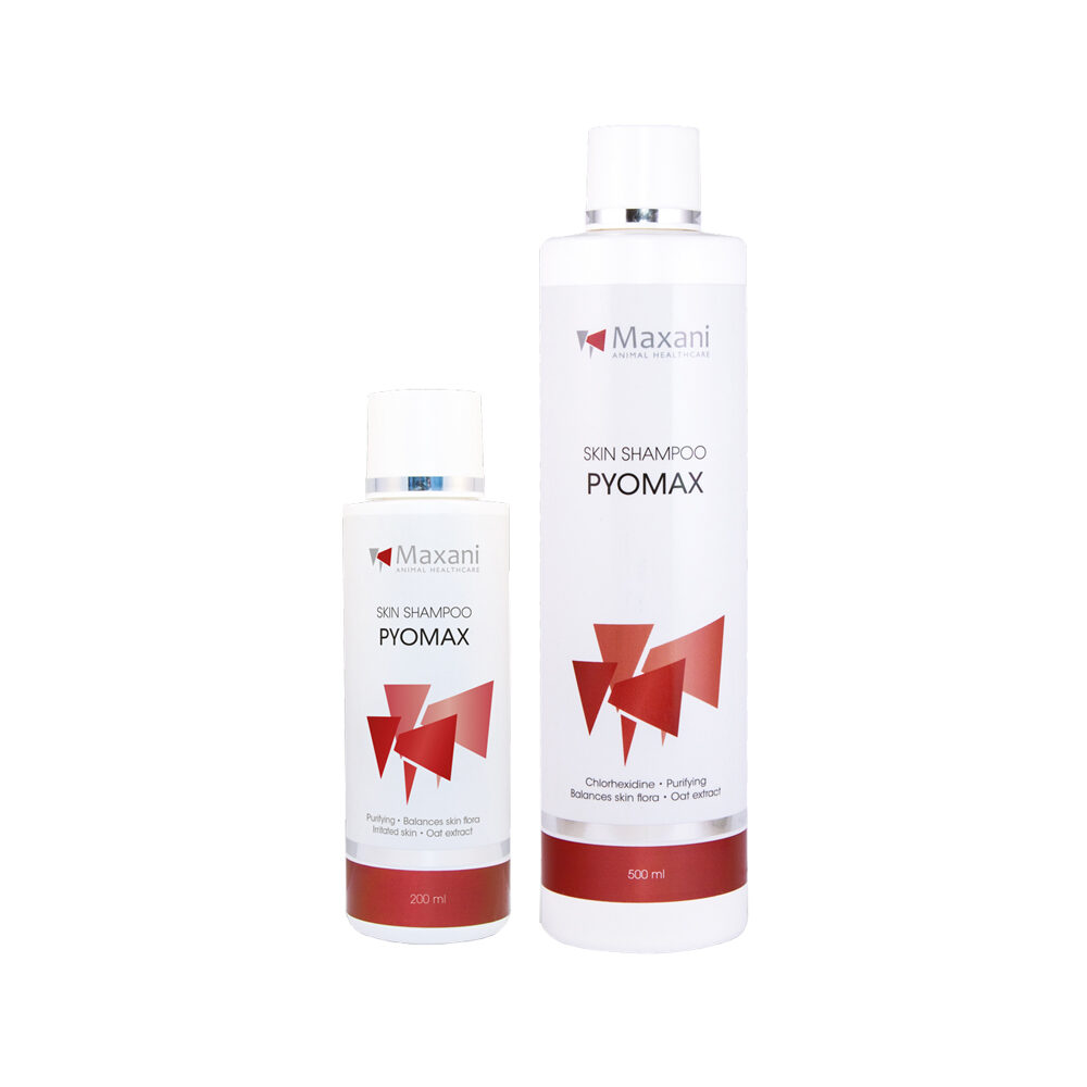 Maxani PyoMax Skin Shampoo - 200ml