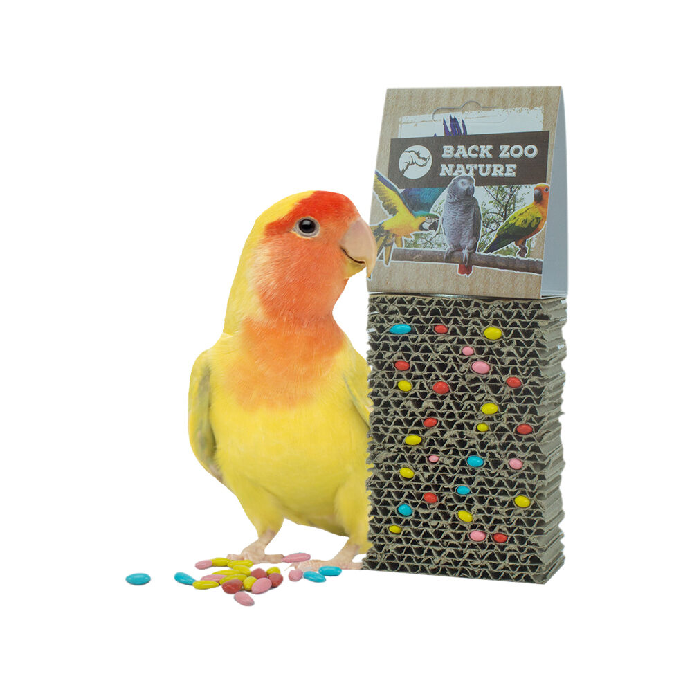 Back Zoo Nature Cardboard Treat Board