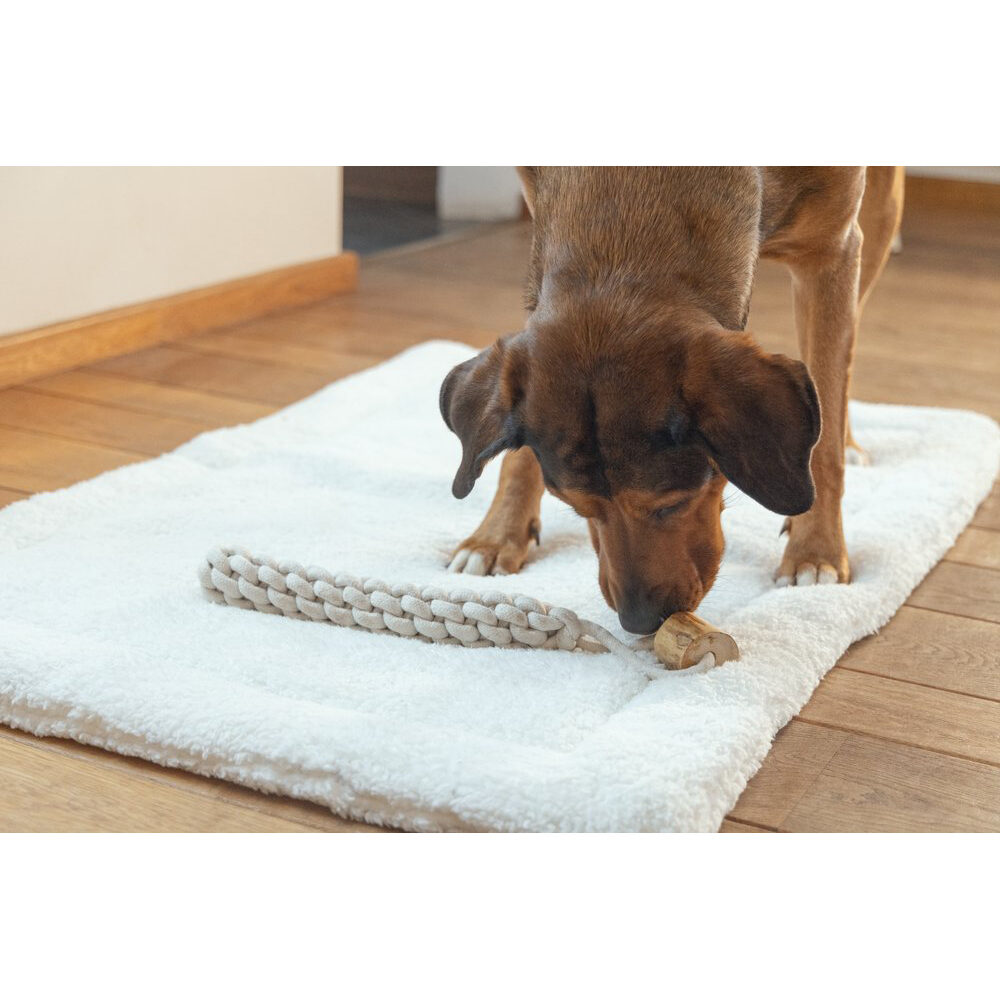 Beeztees Rope Toy Osa - S