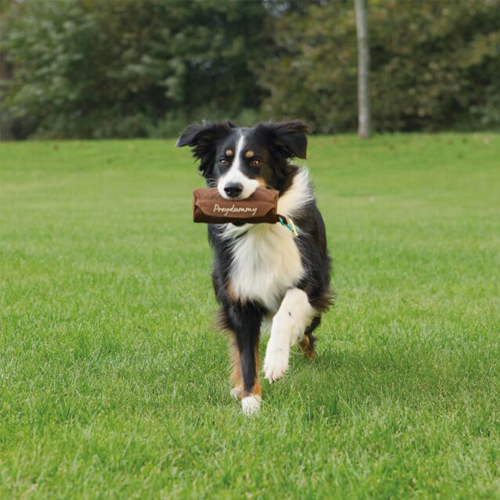 Trixie Dog Activity Prey Dummy - Brown with blue loop - ø 6 × 14cm