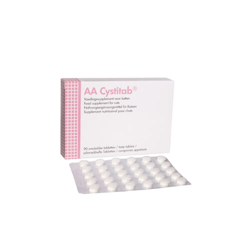 AA Cystitab - 3 x 30 Tablets