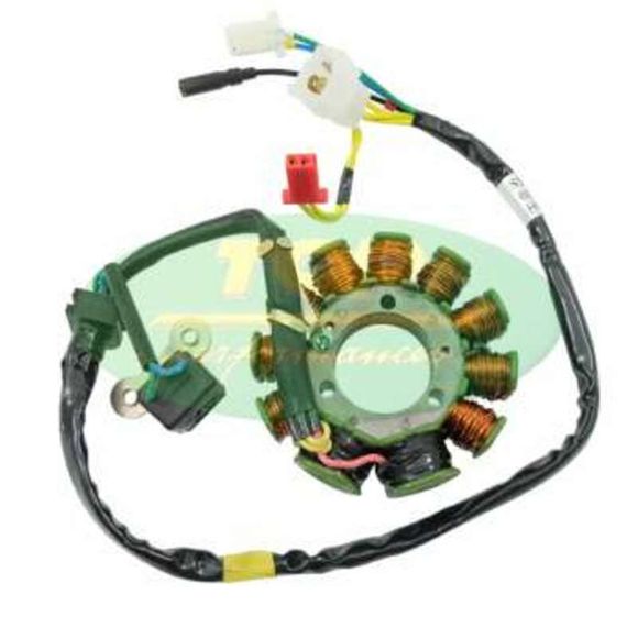 Top performance ignition stator Ref: Tpf00061A / 1079812
