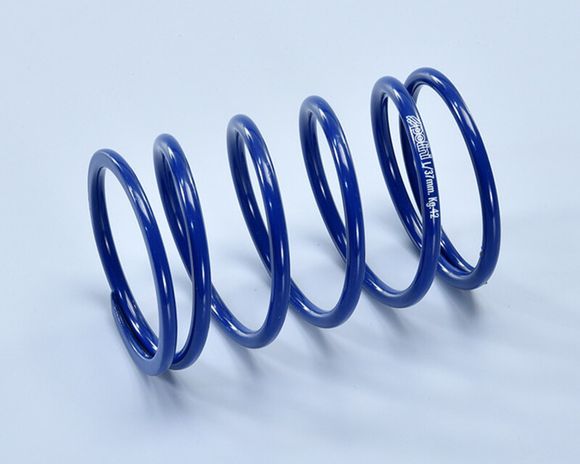 Polini compression push springRef: Pol00223A / 1114955