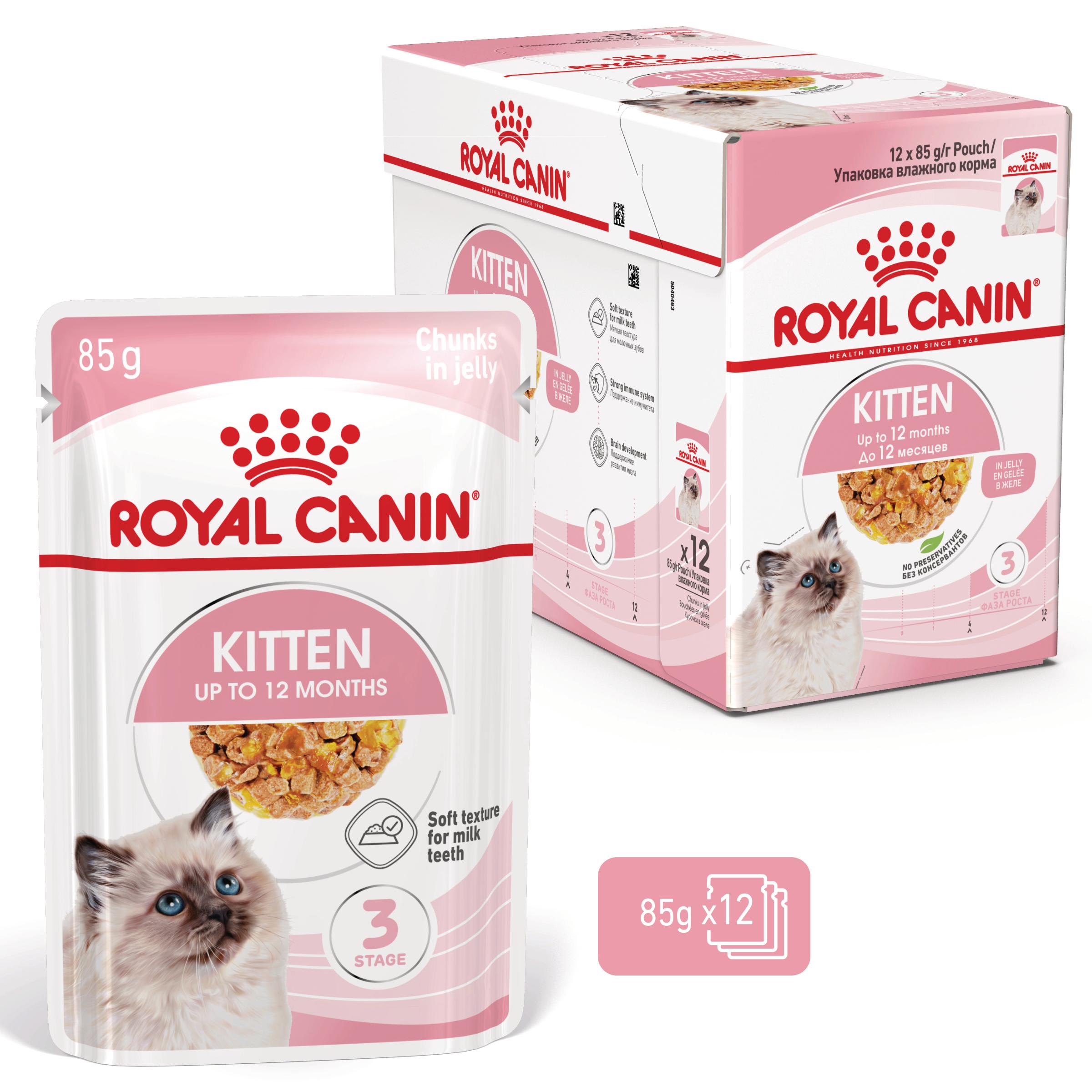 Royal Canin Kitten in Jelly - 12 x 85 g