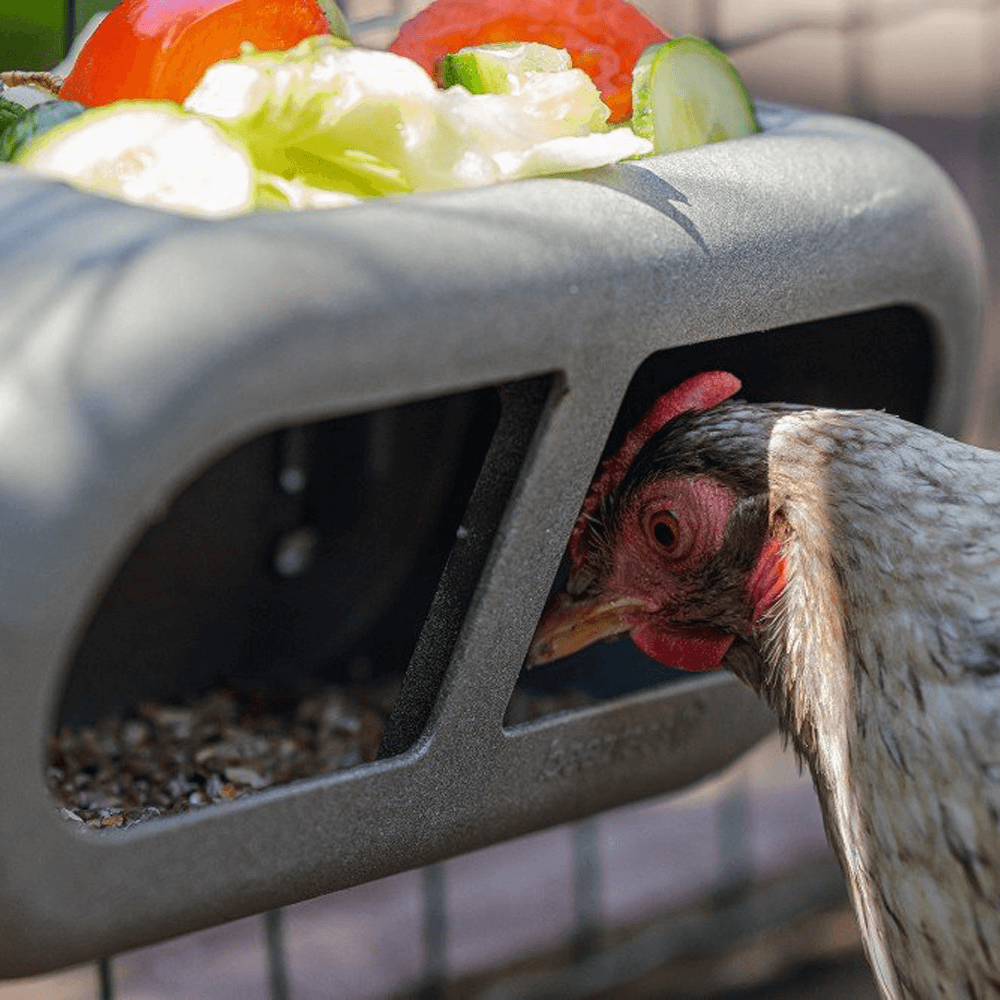 Beeztees Chicken Feeding Bowl - 30 x 14 x 13 cm