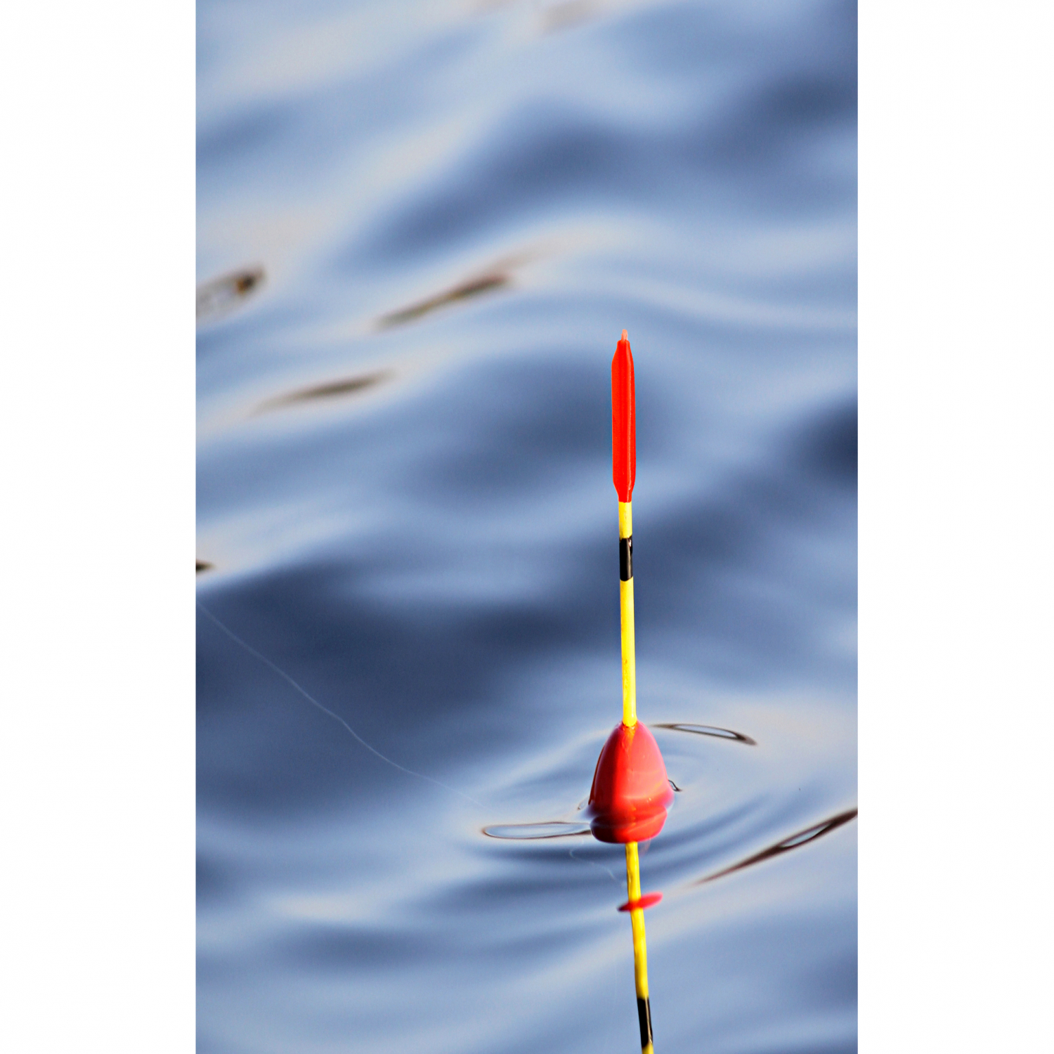 Kogha Antenna Sheath