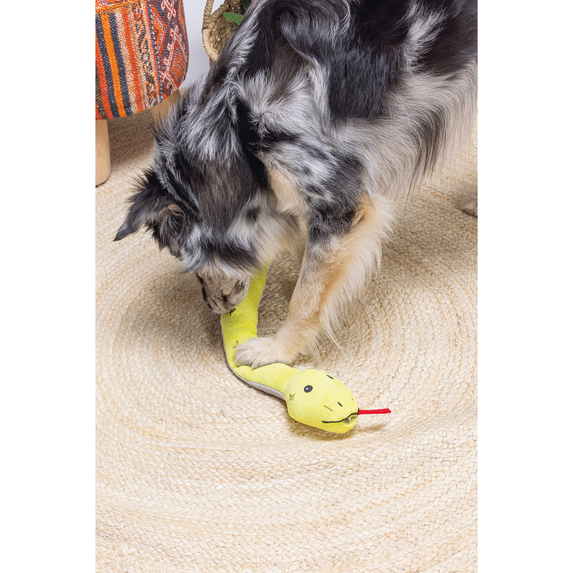 Beeztees Hide And Seek Snake