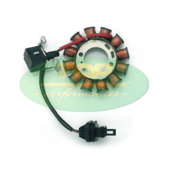 Stator d'allumage Top Performances Ref : TPF00079A / 1127360