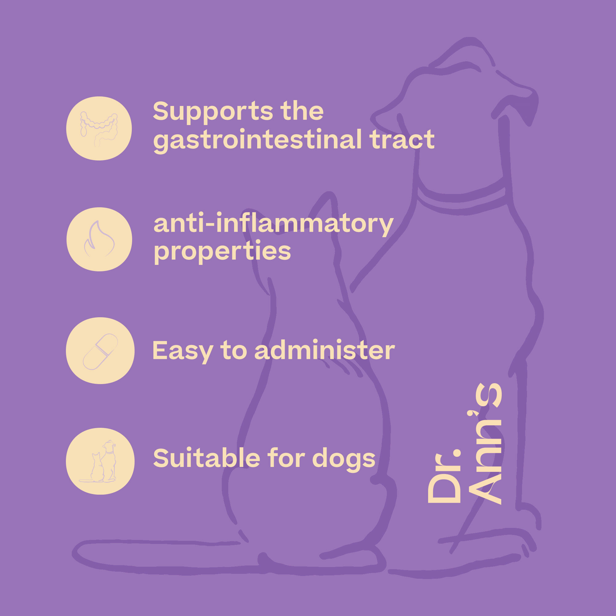 Dr. Ann's Gastrointestinal Support - 30 capsules