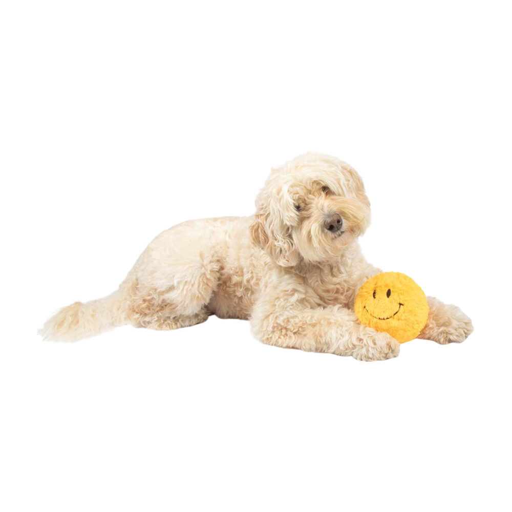 Coockoo Giggly Gary Dog Toy