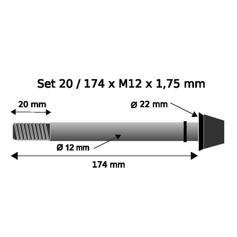 Pitlock Set 20 Thru Axle Rock Shox 12x174mm x1.75mm - black