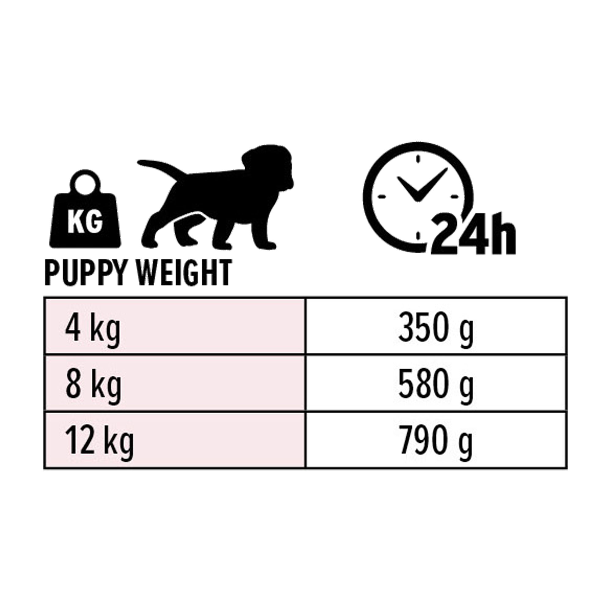 Euro Premium Puppy Pâté - Chicken and Lamb - 6 x 400 g