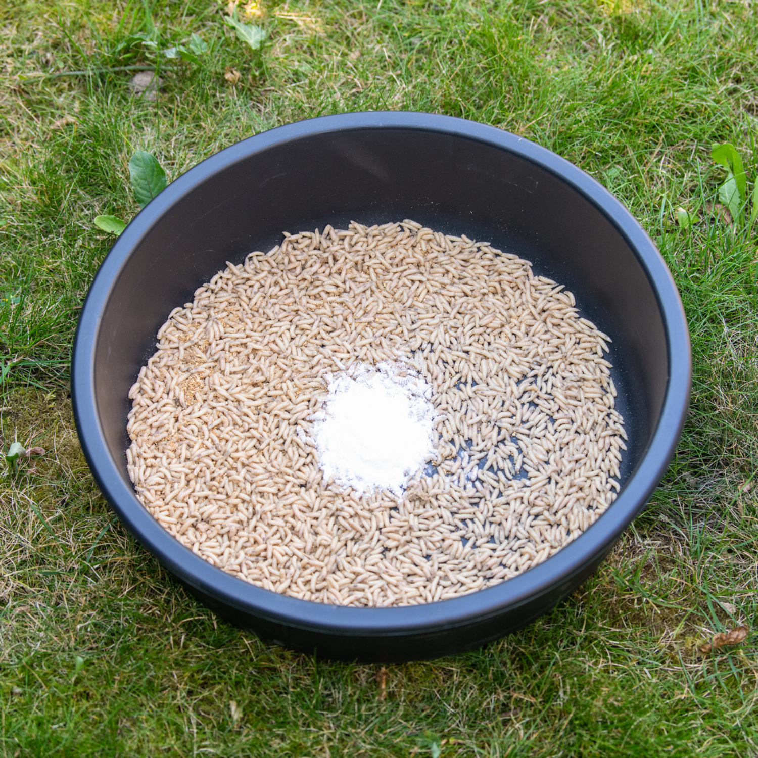 MS Range Competition Madenkleber