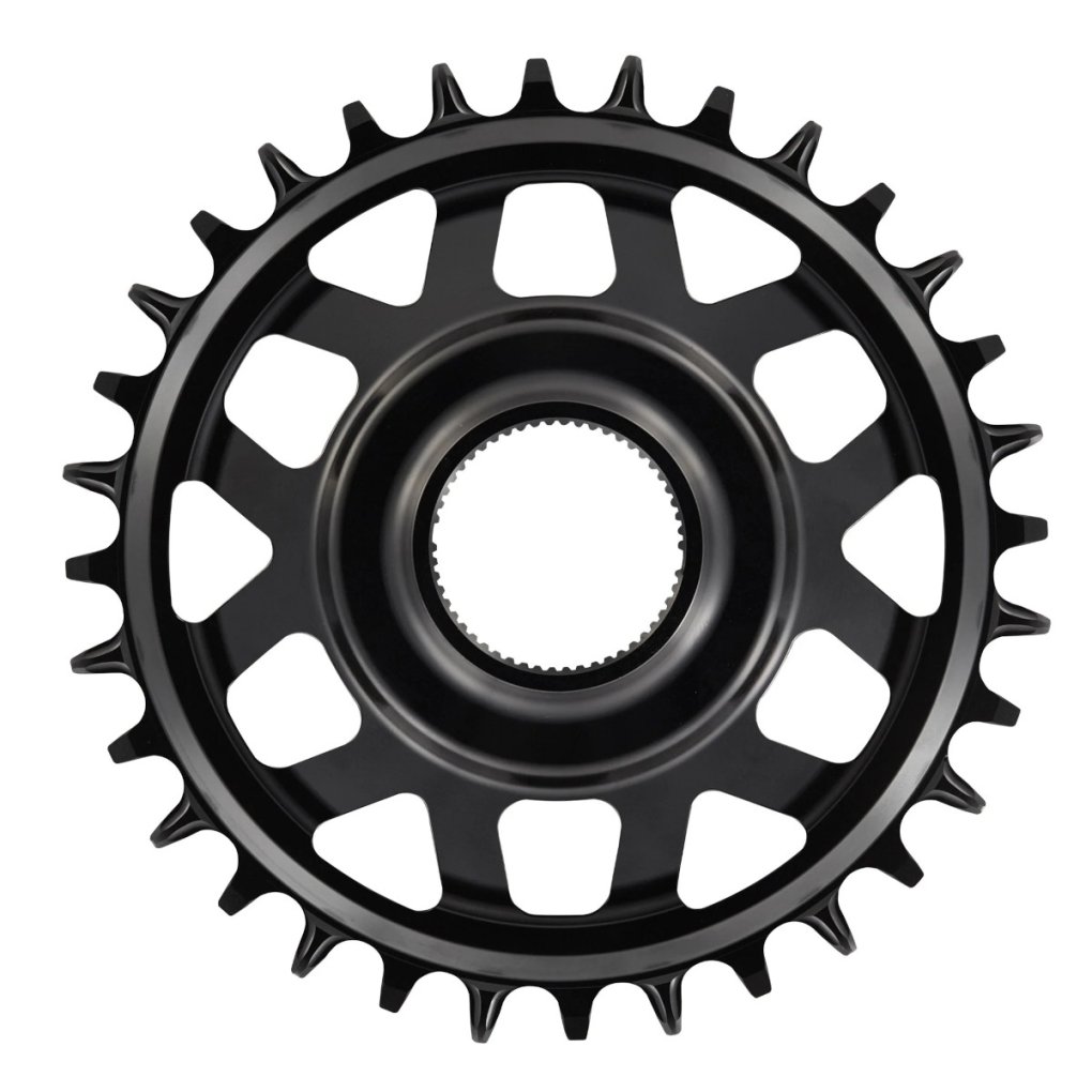 e*thirteen Helix Race e*spec - Direct Mount Chainring - Shimano EP8 - black