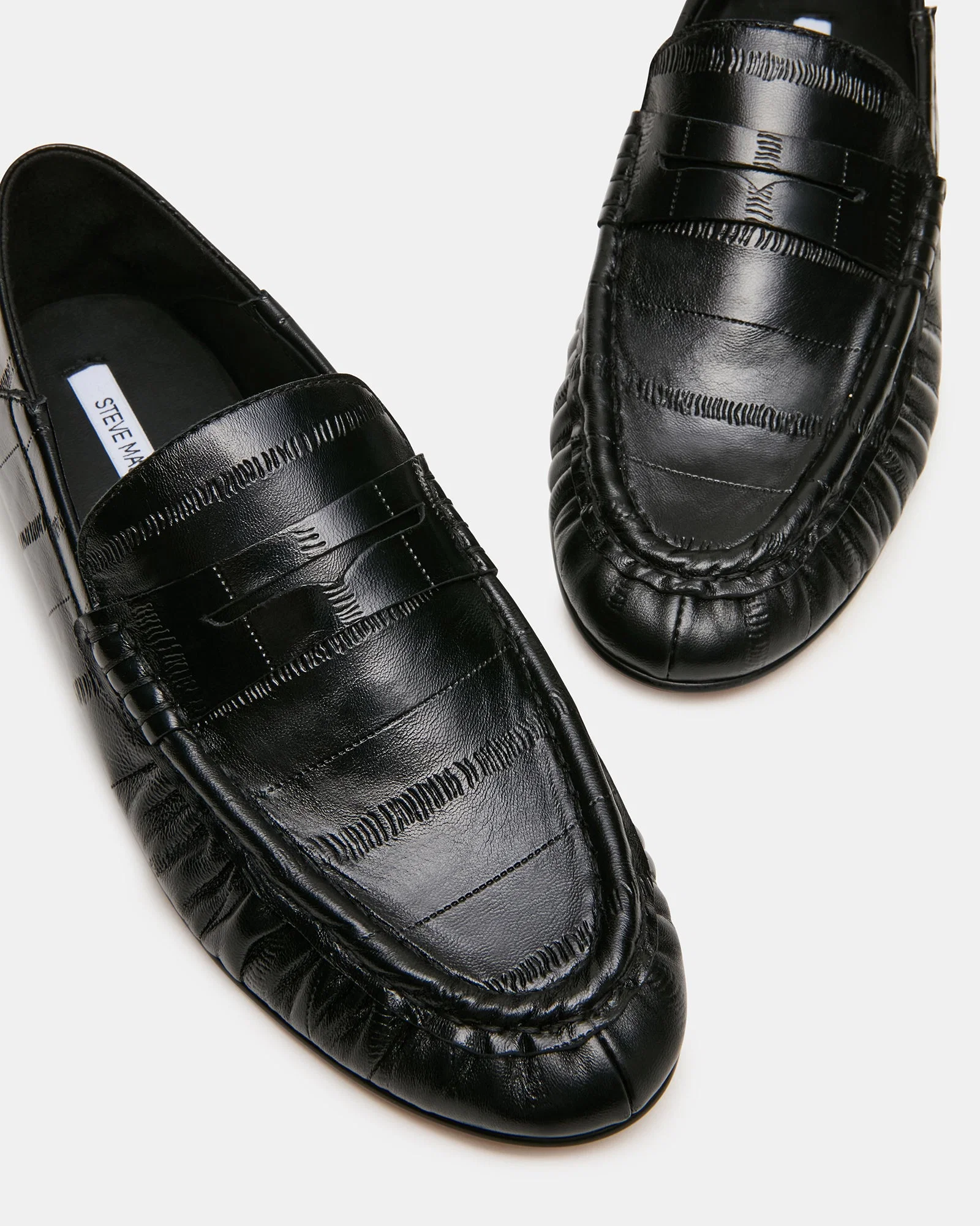 Roger Black Eel