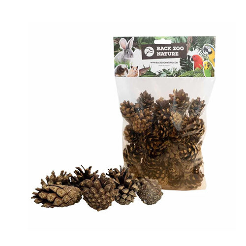 Back Zoo Nature Small Forest Pine Cones - 300 g