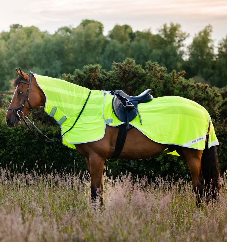 Amigo® Flyrider