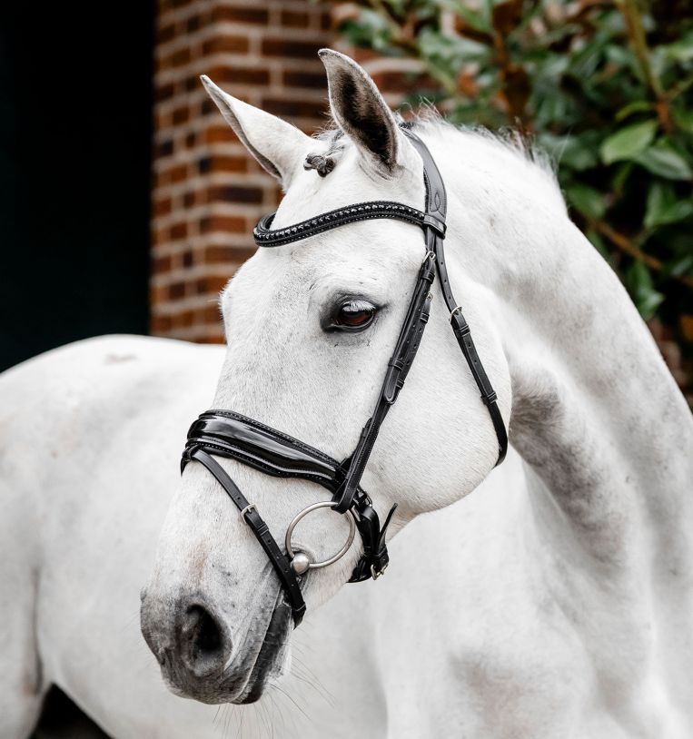 Horseware® Diamante Flash Bridle