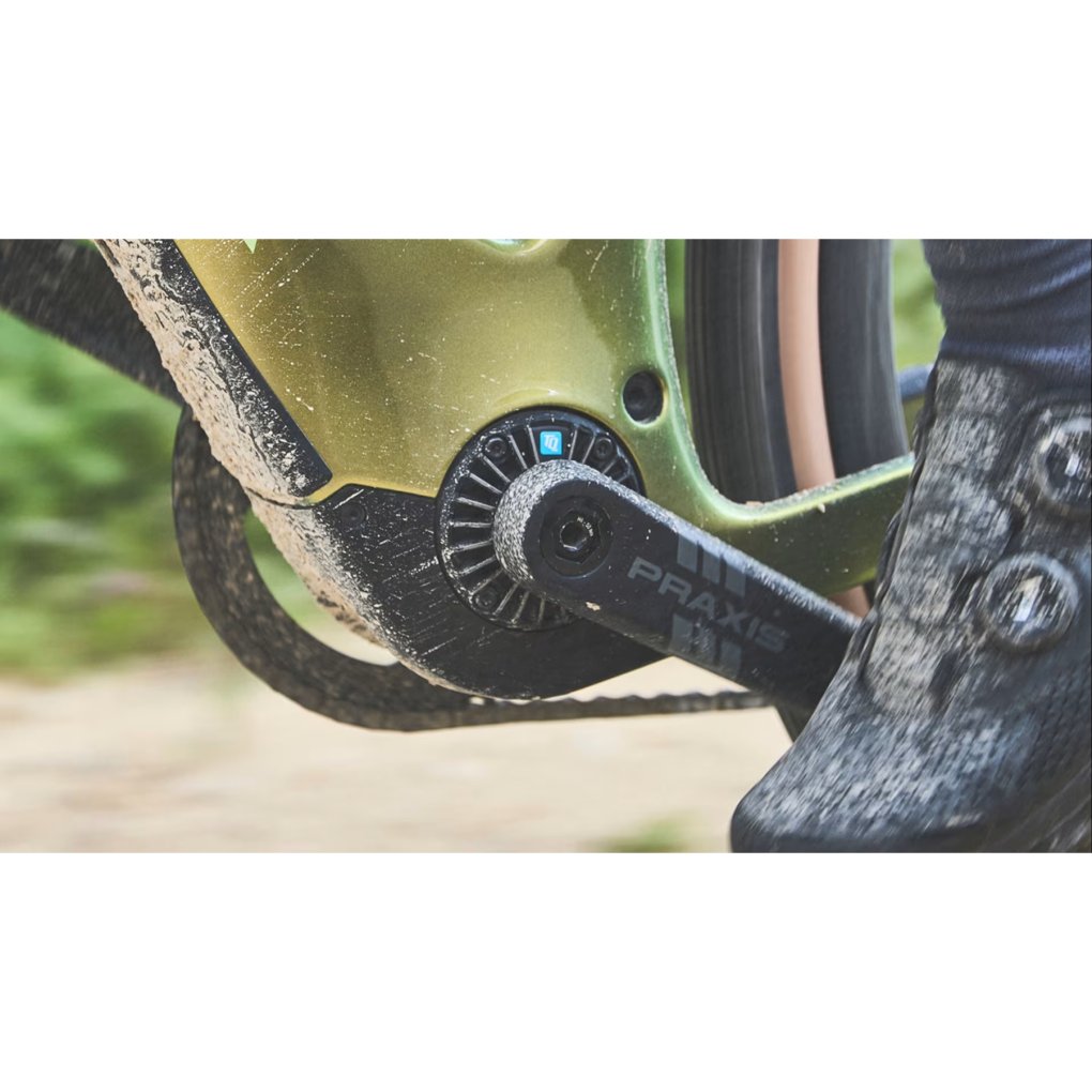 Praxis Works E-Crank Crank Arms - EC-Type4 | ISIS | Road/Gravel | for Brose, Fazua, TQ, Giant
