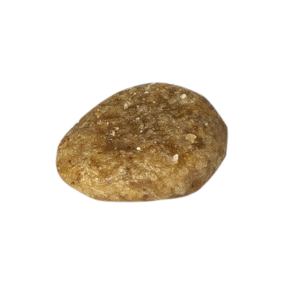 VitalCare Veterinary Diet - Renal & Liver - 5 kg