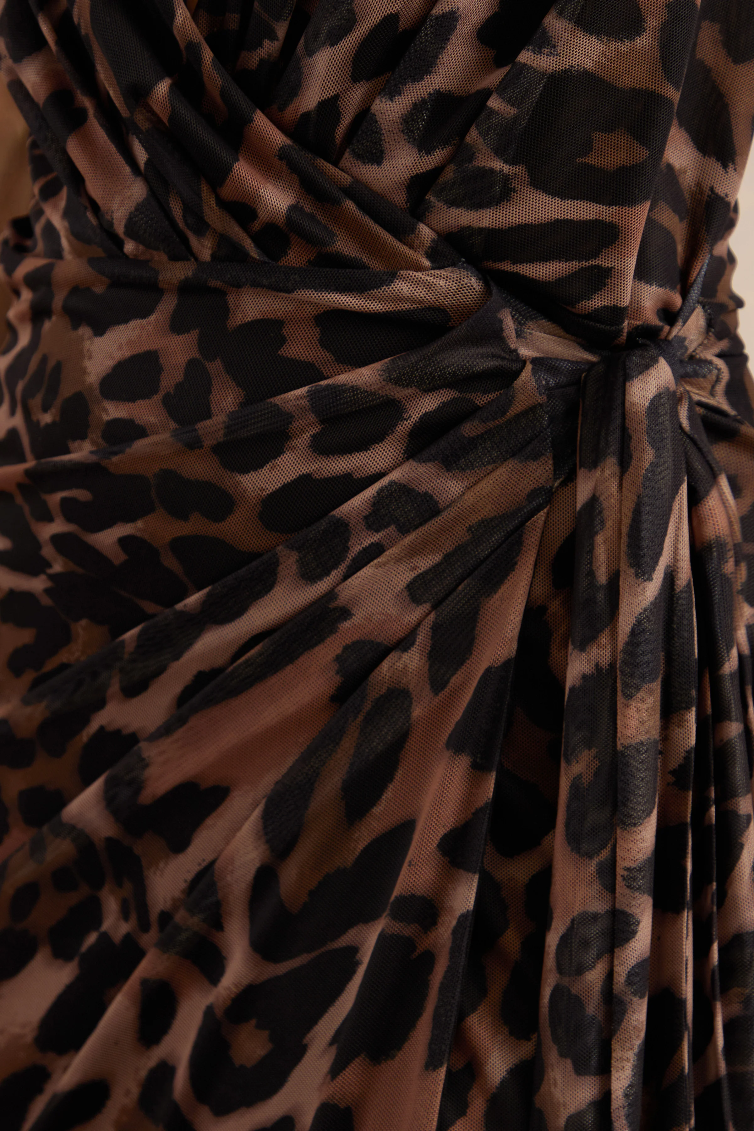 Anwen | Leopard Print Mesh V-Neck Maxi Dress With Front High Split