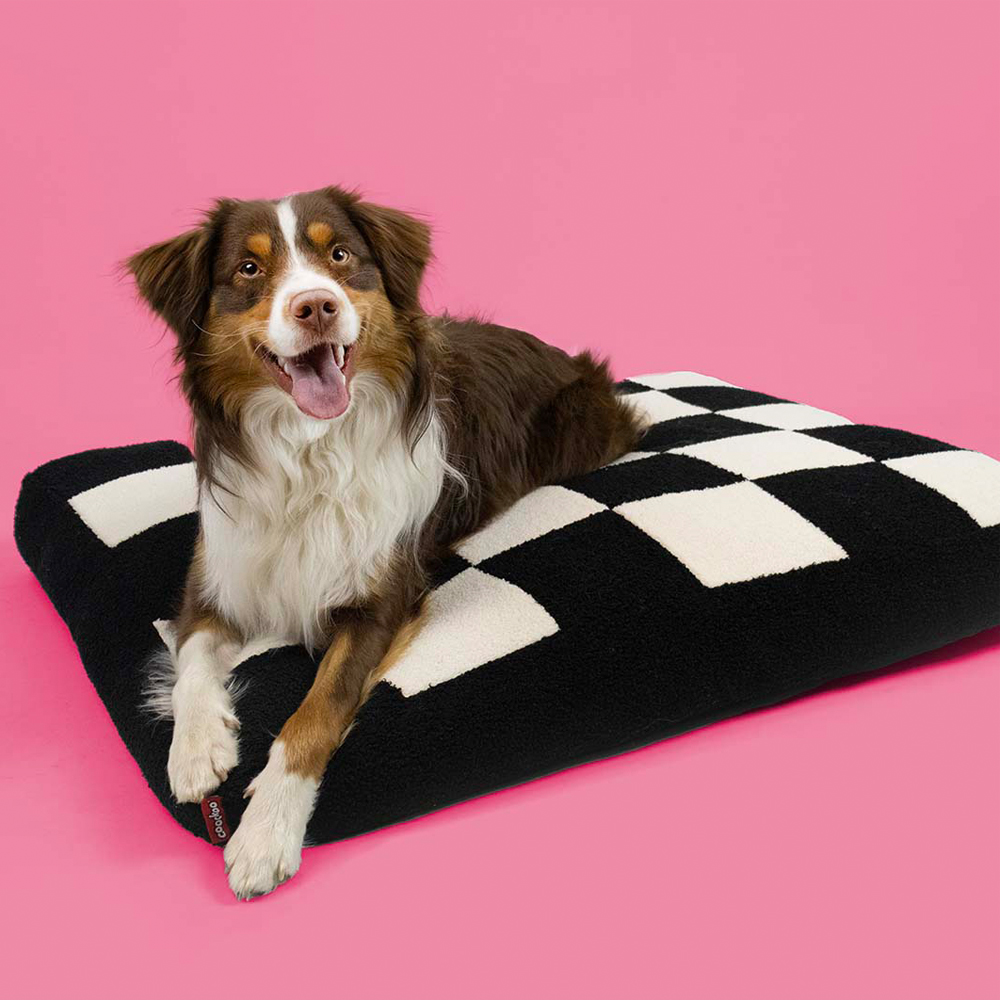 Coockoo Dog Cushion Cozy Block - S - 60 x 50 x 10 cm