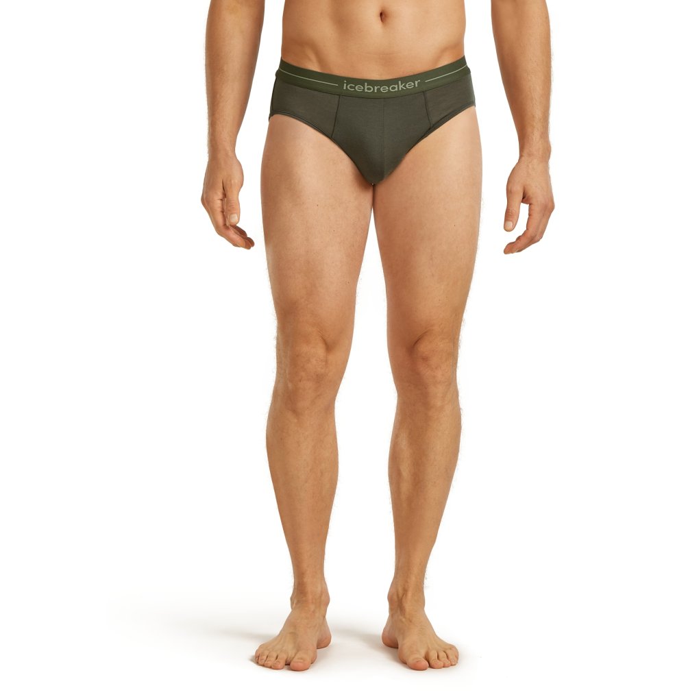 Icebreaker Merino Anatomica Briefs Men - Dark Loden