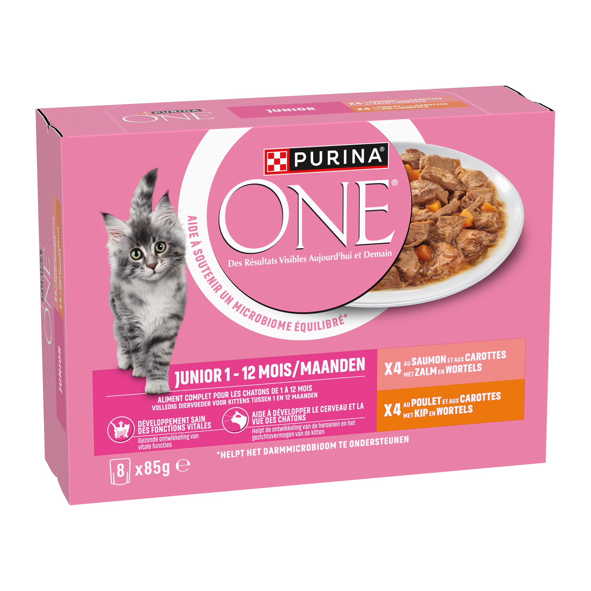 Purina ONE Junior Wet Food - Chicken & Salmon - 8 x 85 g