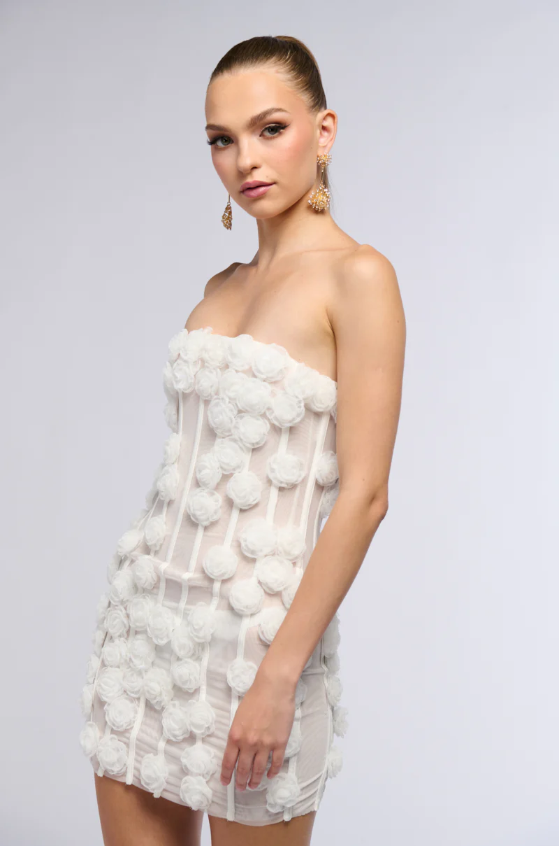 The Secret Garden Mesh Mini Dress