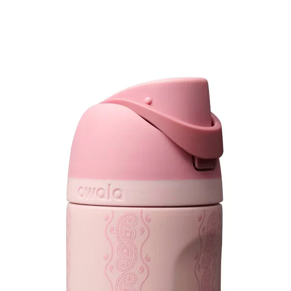 Owala 24fl oz Stainless Steel Special Edition FreeSip Water Bottle - Painted Canyon