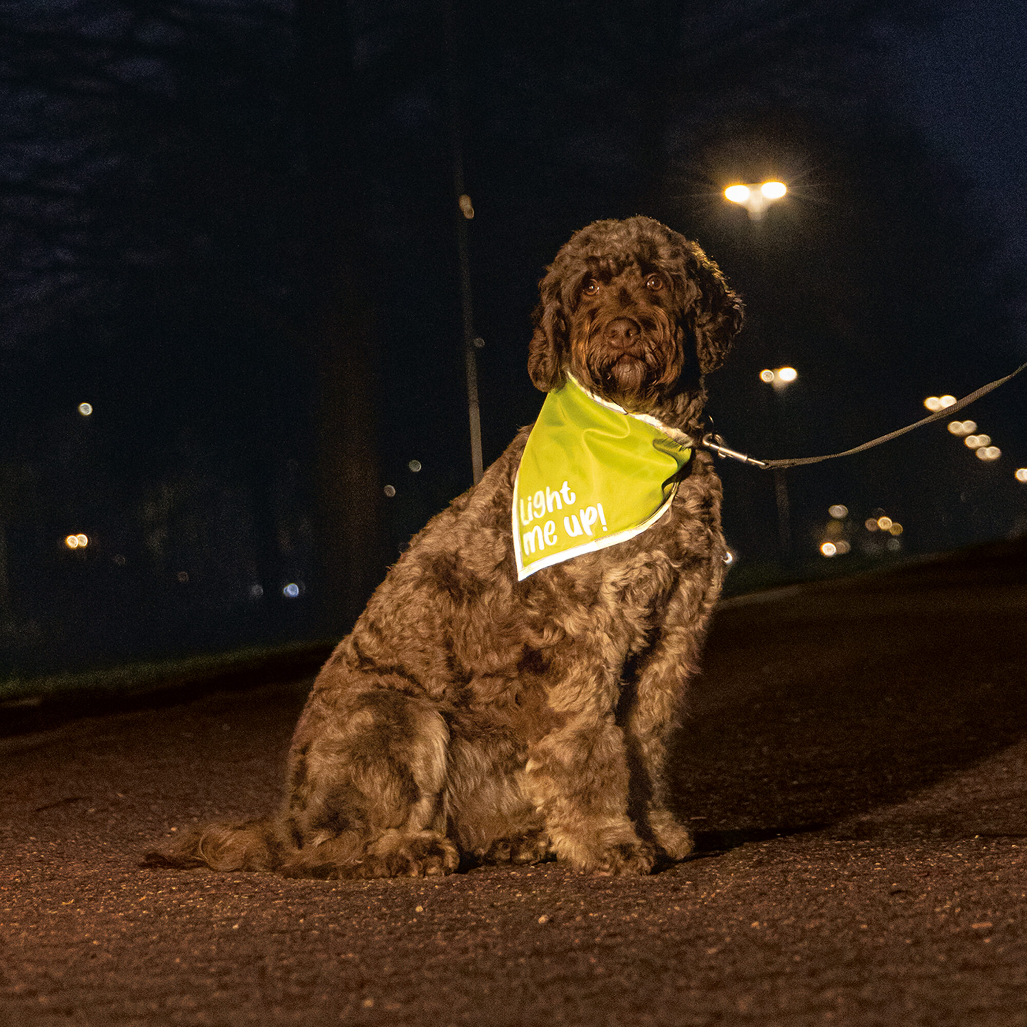 Beeztees Safety Gear Bandana Chiny - S