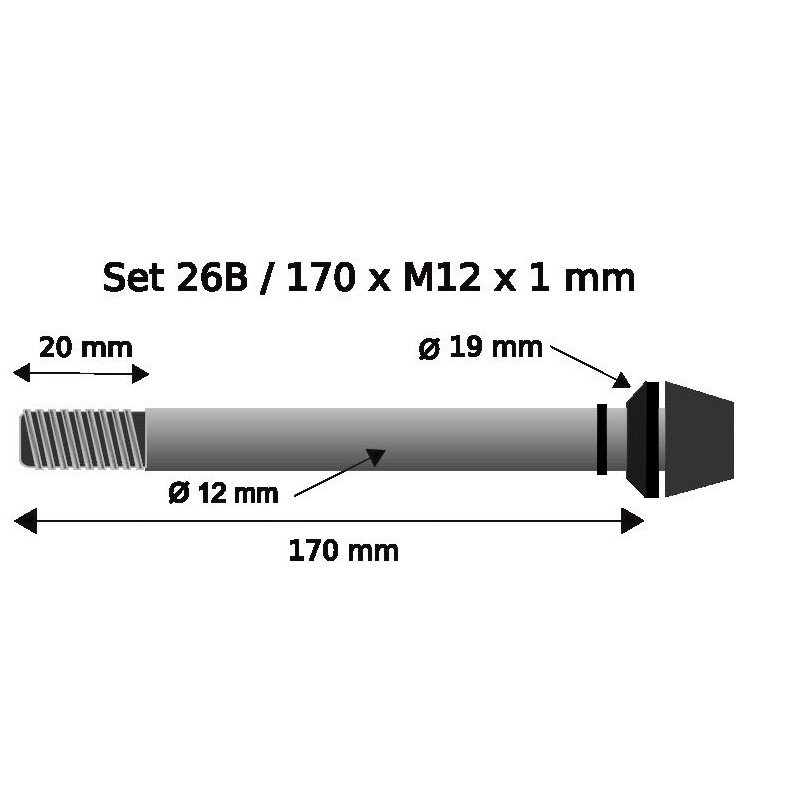 Pitlock Set 26 Boost Thru Axle 12x170mm x 1.0mm - black