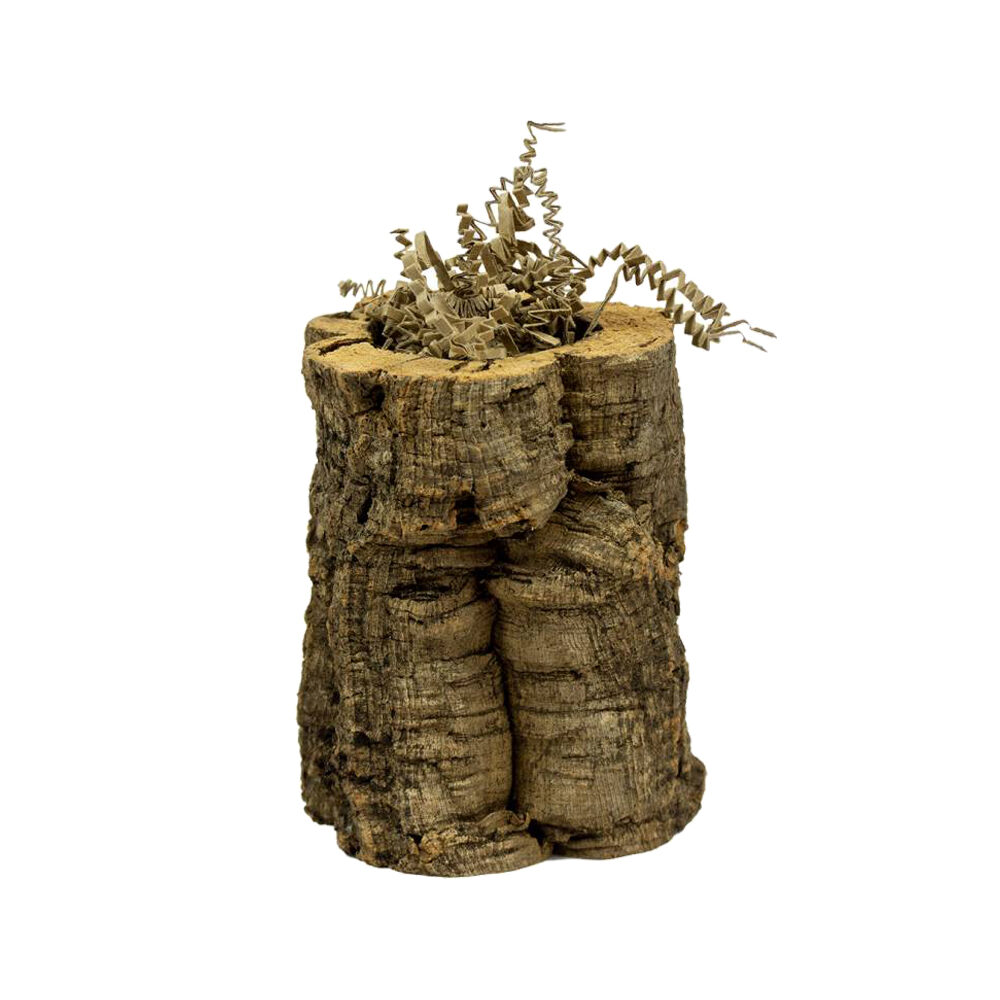 Back Zoo Nature Crinkle Paper