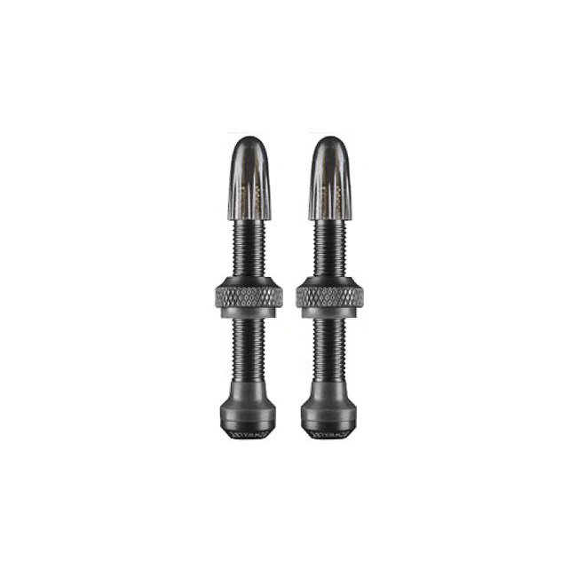 Schwalbe Tubeless Valves (1 Pair) - 40/60/80/100mm